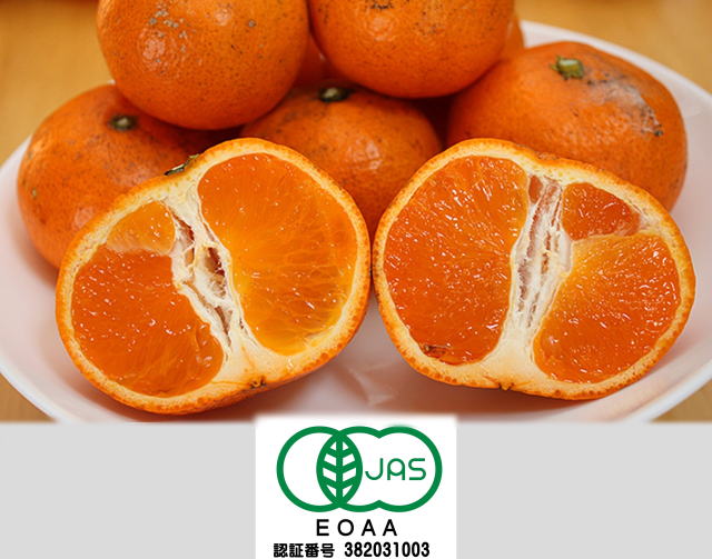 ���i�C���[�W