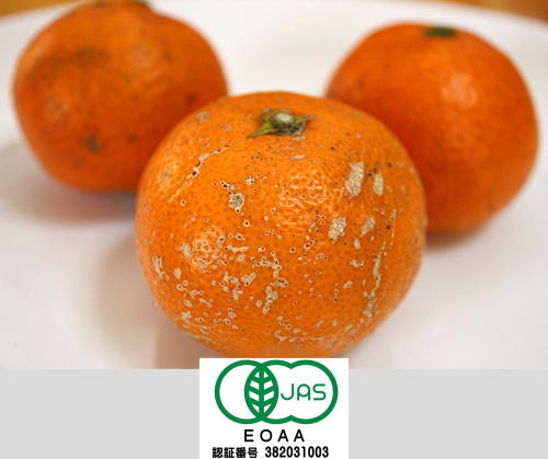 ���i�C���[�W