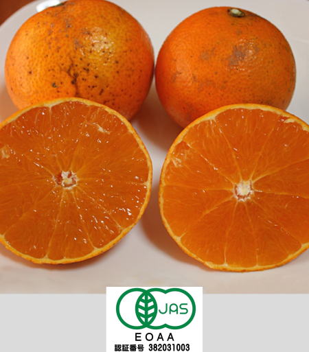 ���i�C���[�W