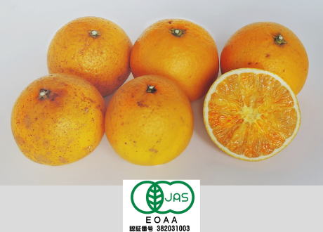 ���i�C���[�W