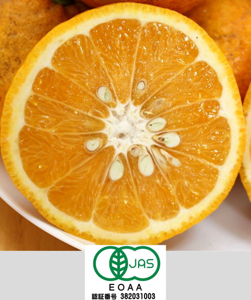 ���i�C���[�W