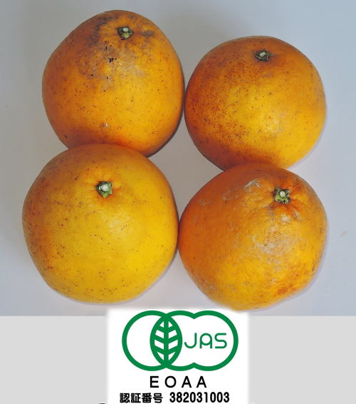 ���i�C���[�W